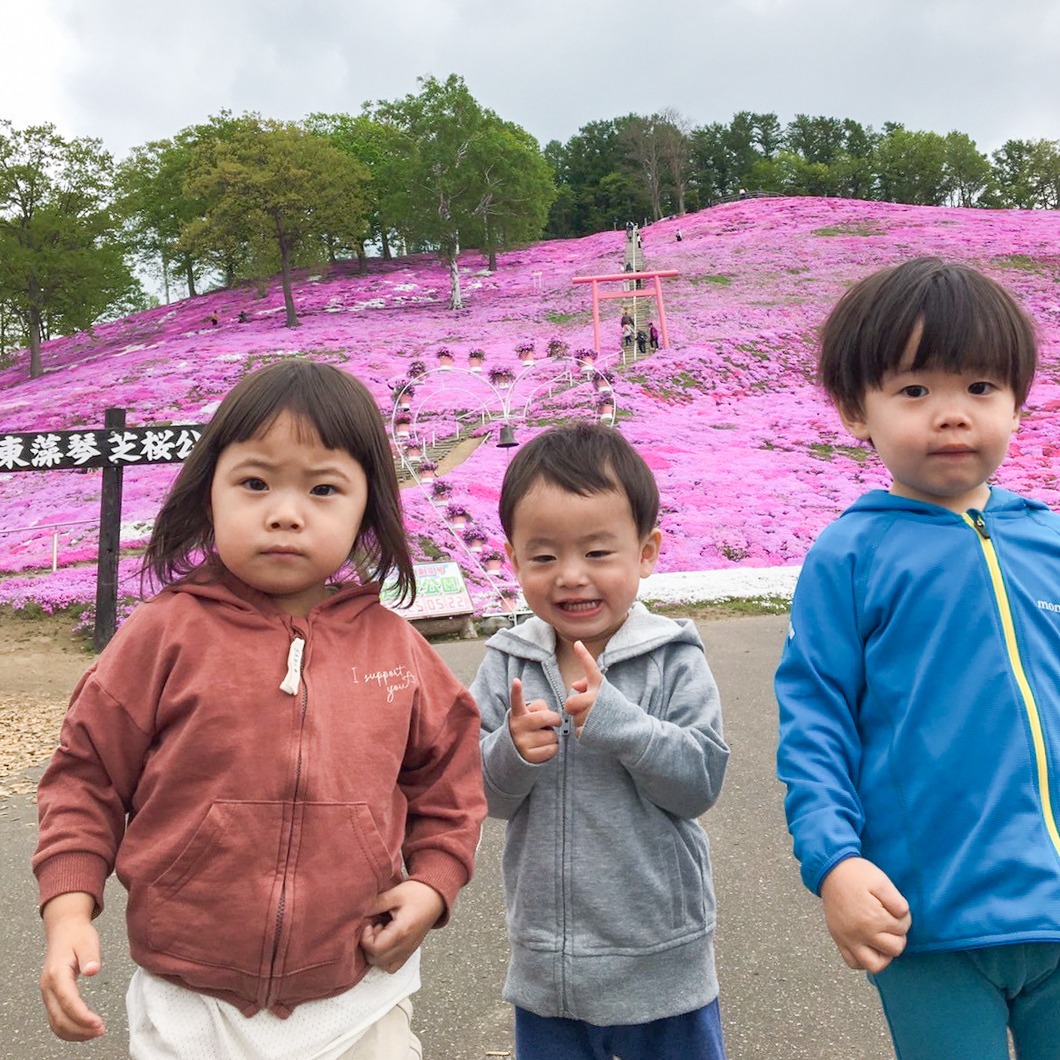 芝桜公園でおでかけ